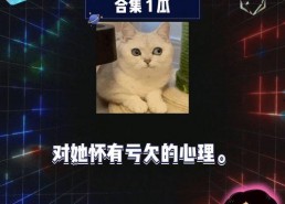 娱乐圈八卦吃瓜文档,娱乐圈八卦风云录